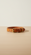Adjustable Leather Dog Collar