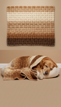 Soft Comfort Dog Blanket