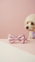 Whisper Pink Satin Bow Collar