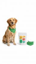 Golden Bone Cotton Dog Bandana