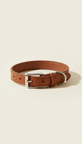 Elegant Buckle Leather Dog Collar
