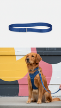 Skyline Blue Padded Leash Set