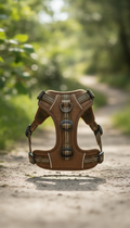 Ergonomic Reflective Dog Harness, front view on neutral background
