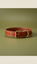 Classic Saddle Leather Dog Collar