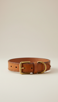 Brass Buckle Saddle Leather Dog Collar